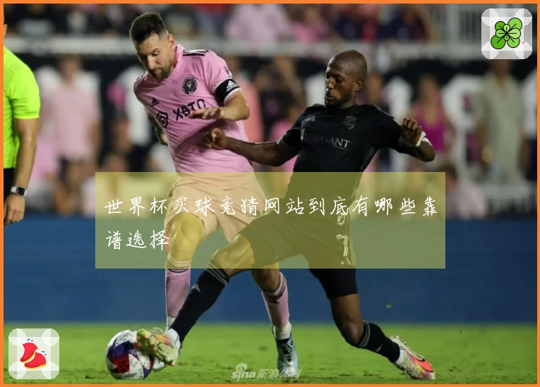 世界杯买球竞猜网站到底有哪些靠谱选择