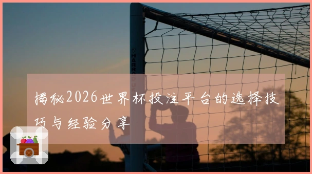 揭秘2026世界杯投注平台的选择技巧与经验分享