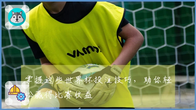 掌握这些世界杯投注技巧，助你轻松赢得比赛收益