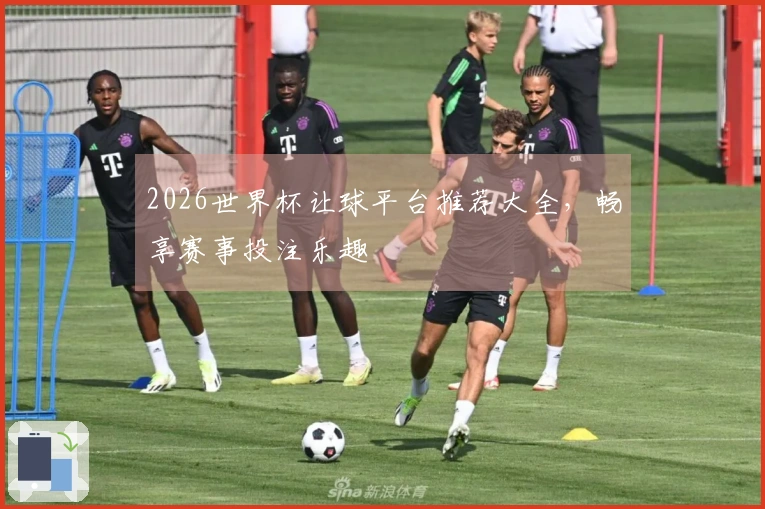 2026世界杯让球平台推荐大全，畅享赛事投注乐趣