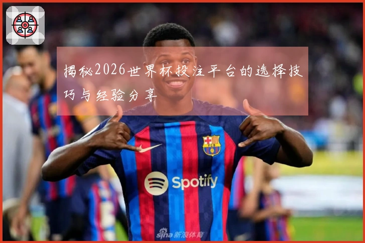 揭秘2026世界杯投注平台的选择技巧与经验分享