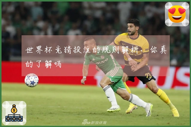 世界杯竞猜投注的规则解析，你真的了解吗