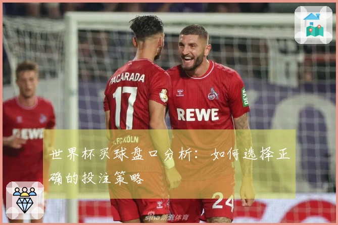 世界杯买球盘口分析：如何选择正确的投注策略