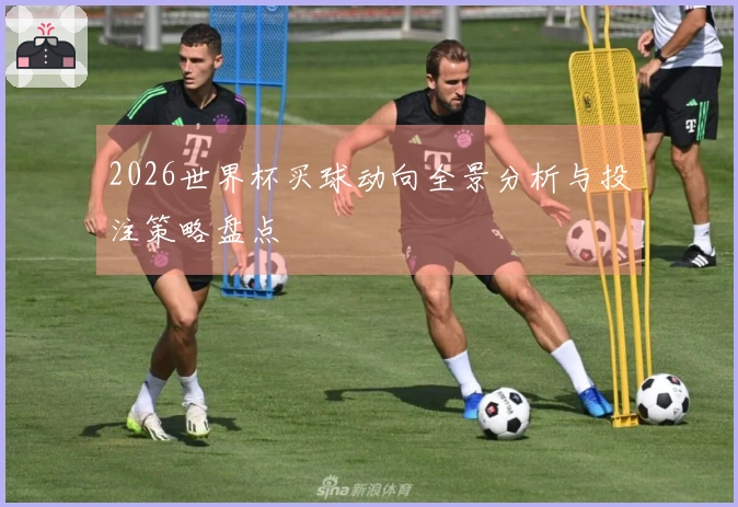 2026世界杯买球动向全景分析与投注策略盘点