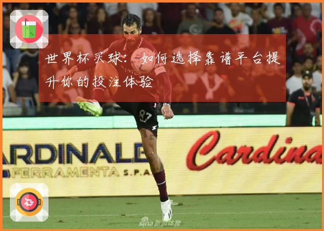 世界杯买球：如何选择靠谱平台提升你的投注体验