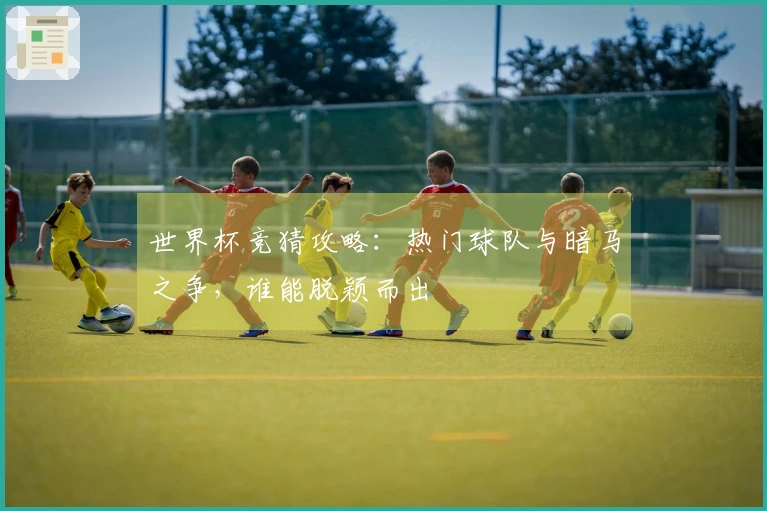 世界杯竞猜攻略：热门球队与暗马之争，谁能脱颖而出